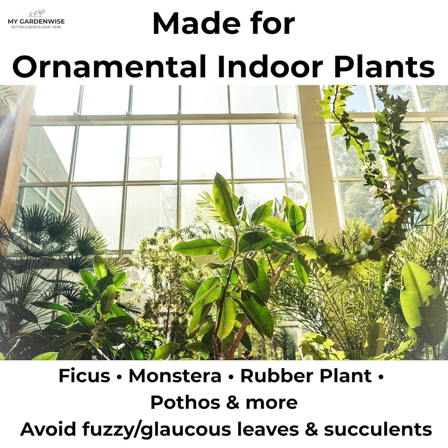 Leaf Shine Spray for Indoor Plants – Plant Leaf Cleaner & Shine for Real House Plants – Fragrance-Free, Non-Sticky, Streak-Free Finish, 8 fl oz