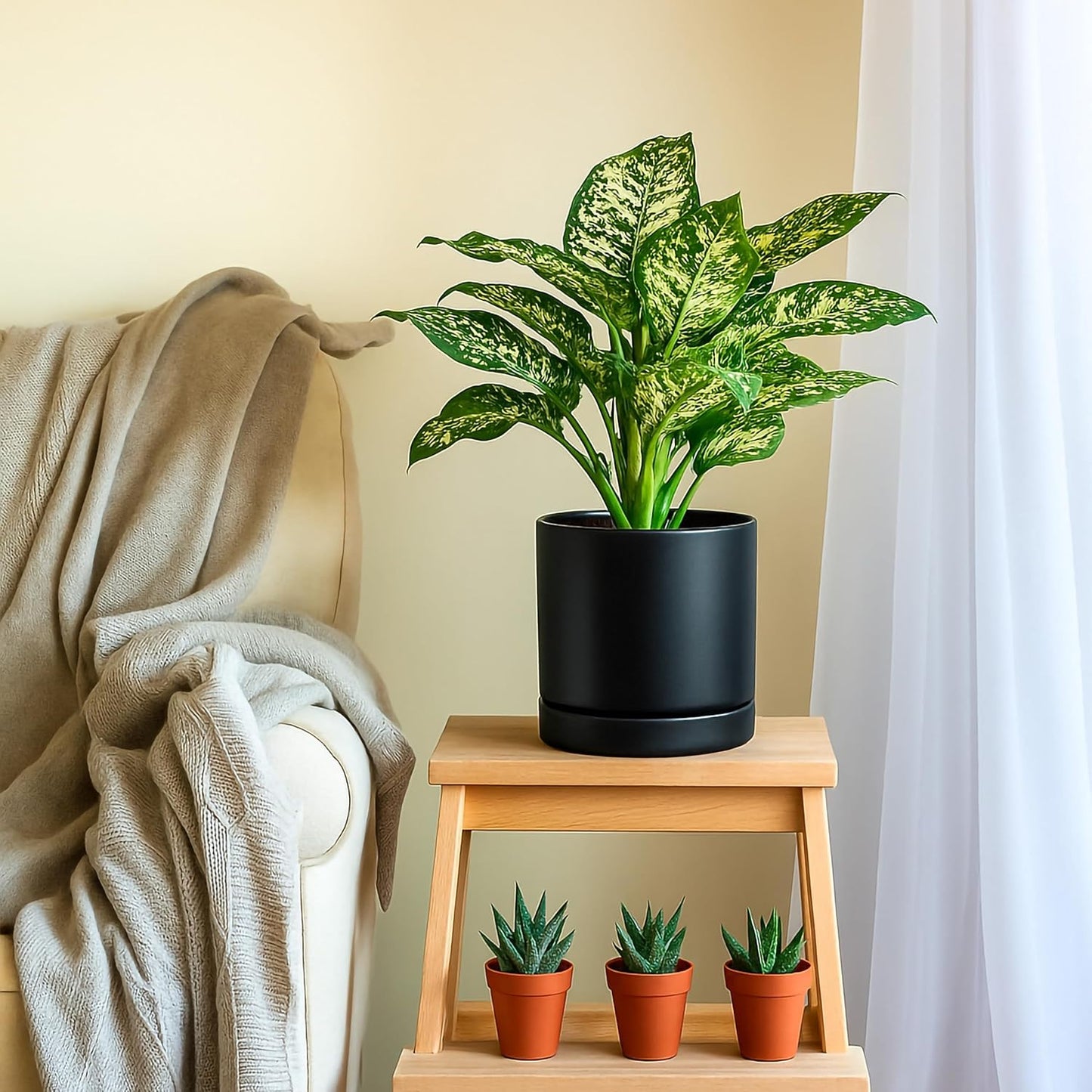 D'vine Dev Set of 2 Plants Pots, 8 Inch Ceramic Planter Pot for Plants with Drainage Hole and Saucer, Black, 94-V-D-2