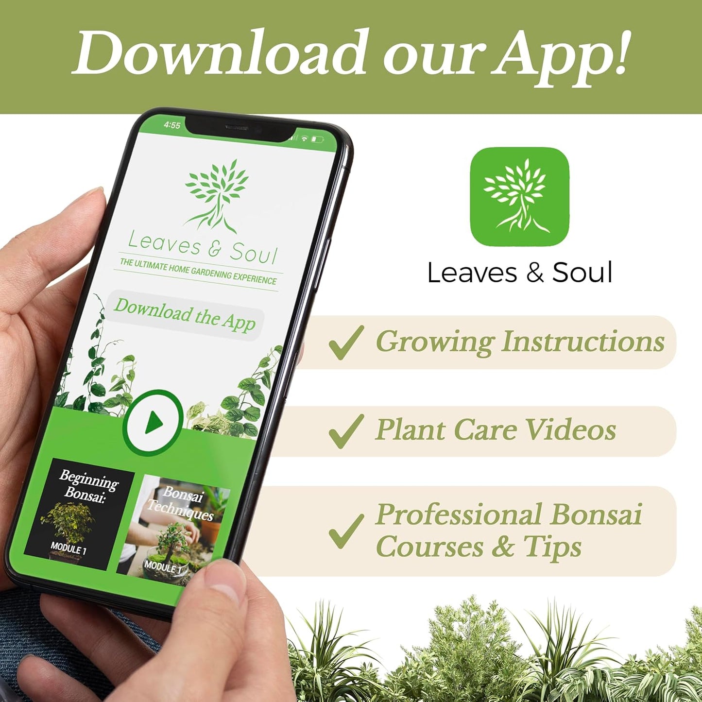 Succulent Soil Premium All Purpose Blend | Large 2.2 Quarts | Pre-Mixed Ready to Use for Cactus and Succulents | Canadian Peat, Course Sand, Pinebark | Made in USA