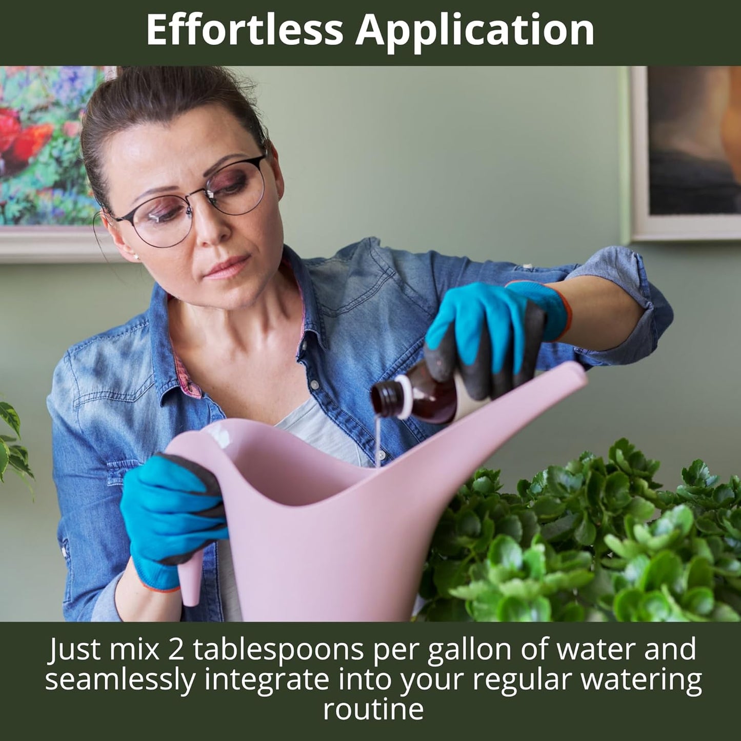 3-1-2 African Violet Fertilizer for Indoor Plants: Liquid Fertilizer with Essential Micronutrients Drops - Plant Food for African Violets (8 oz)