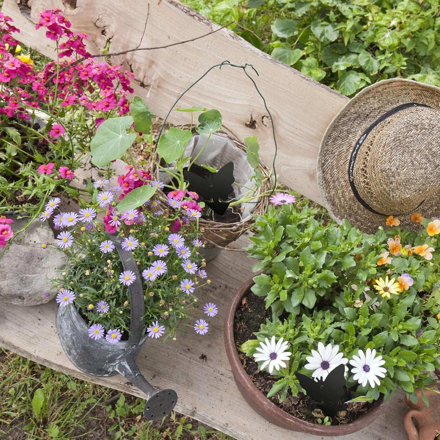 USKICH Sticky Trap Fruit Fly and Gnat Trap Sticky Bug Traps Fungus Traps for Indoor/Outdoor ,Insect Catcher for White Flies,Mosquitoes,Fungus Gnats,Lying Insects (36 Pcs Black)