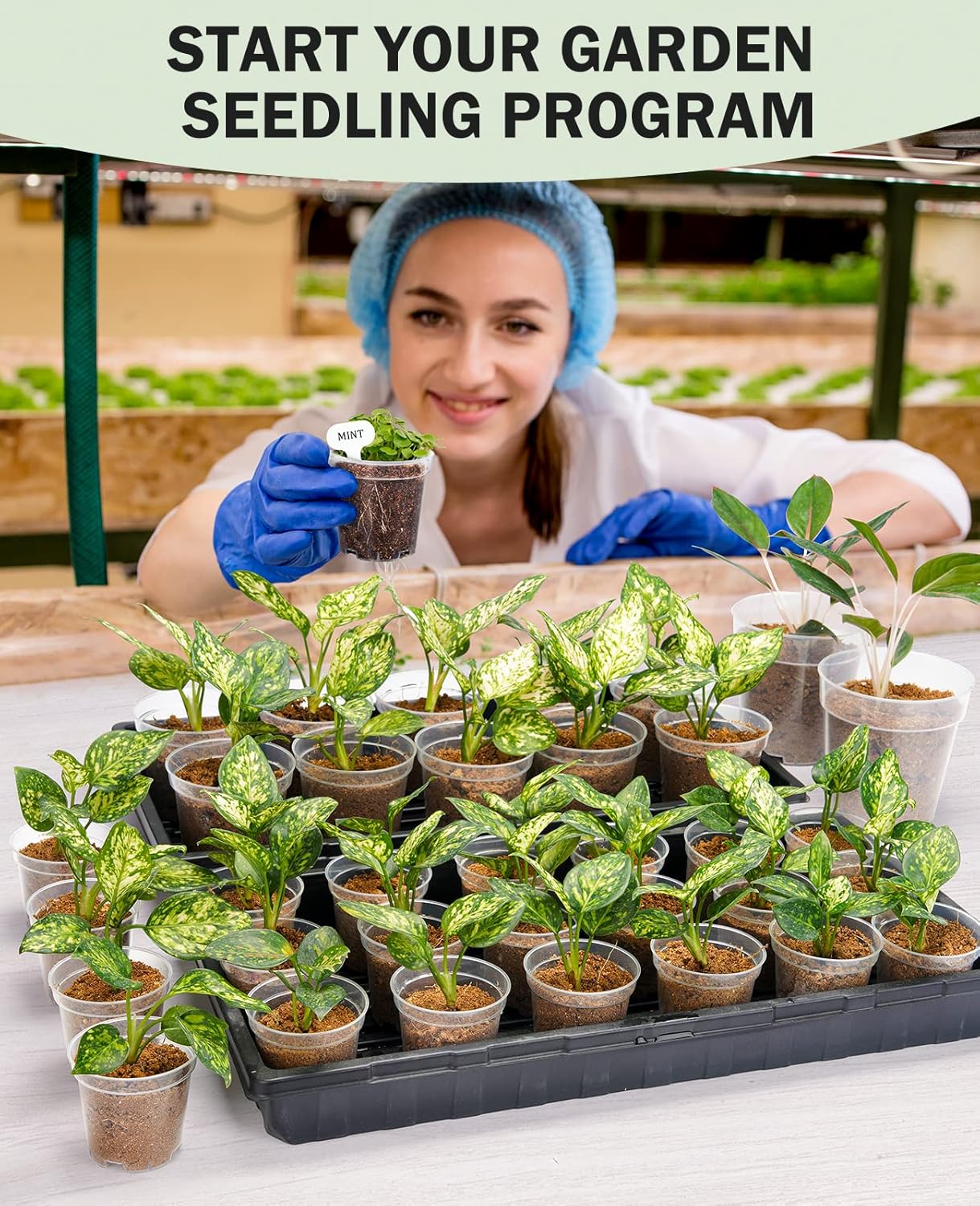 homenote Clear Nursery Pots for Plants,5 Inch Plant Pot for Planting Plastic Seedling with Drainage Holes Seed Starter Flower High Transparency with 20 Labels (30 Pack)