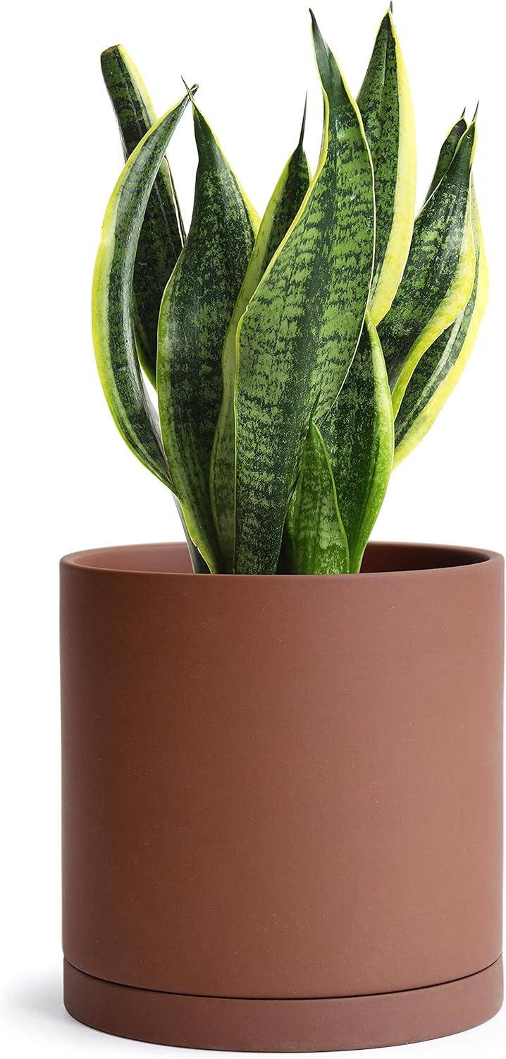 D'vine Dev Rust Terracotta Pots for Plants, 4.2 Inch 5.3 Inch 6.5 Inch, Succulent Planter Pot with Drainage and Saucer, 40-T-A-3