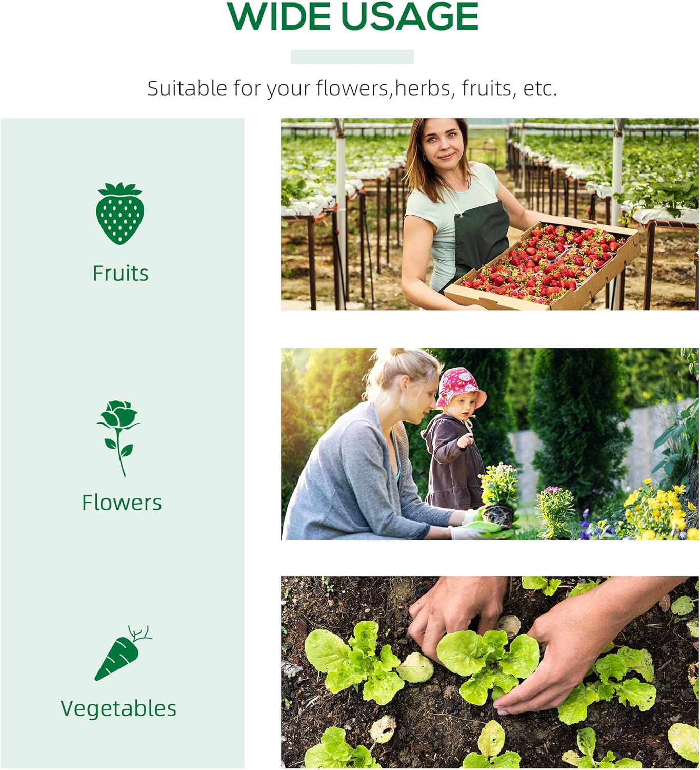 Outsunny 4' x 2' x 2' Portable Mini Greenhouse, Small Green House with PE Cover, Roll-up Zippered Windows for Indoor, Outdoor Garden, Green