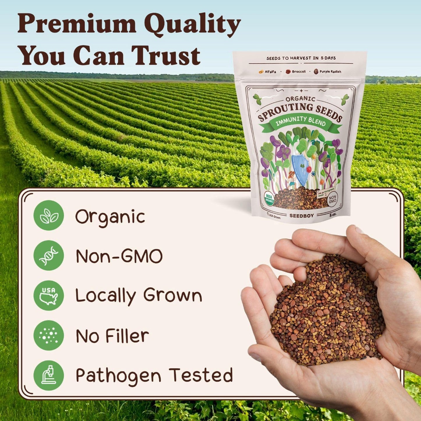 Seedboy Organic Sprouting Seeds - Immune System Booster Blend - Non-GMO, USA Grown - Broccoli, Purple Radish, Alfalfa - Makes 8 Quarts of Sprouts, 24 Servings (8 oz) (Immune System Booster Blend)