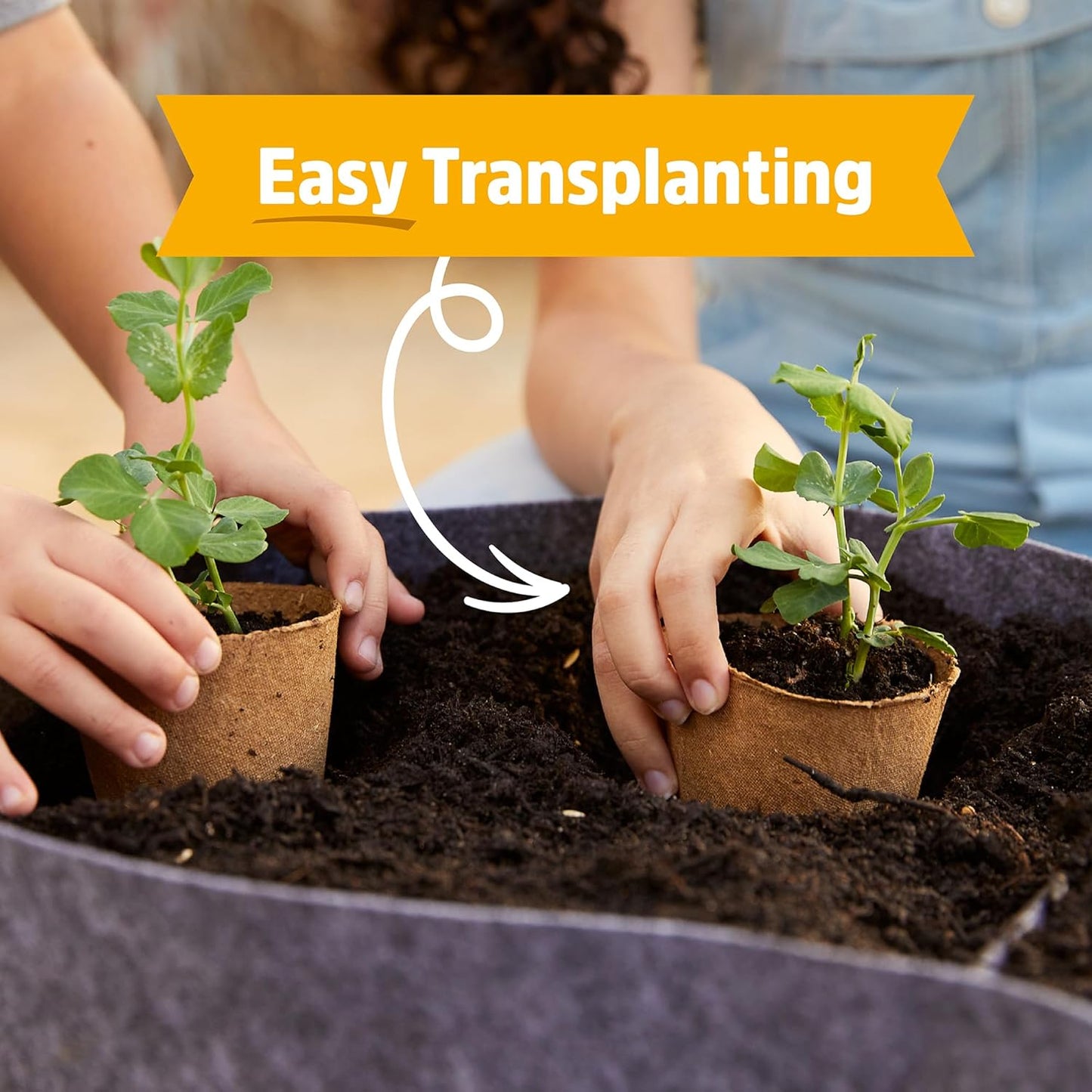 Back to the Roots Organic Sunflower Grow Kit