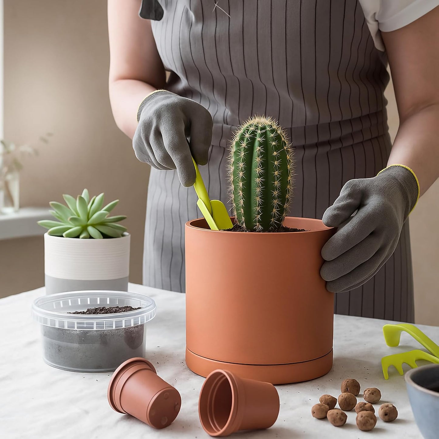 D'vine Dev Medium 8 Inch Terracotta Plant Pot with Drainage Hole and Saucer, Round Cylinder Planter Pot for Indoor Plants, 40-X-A-4