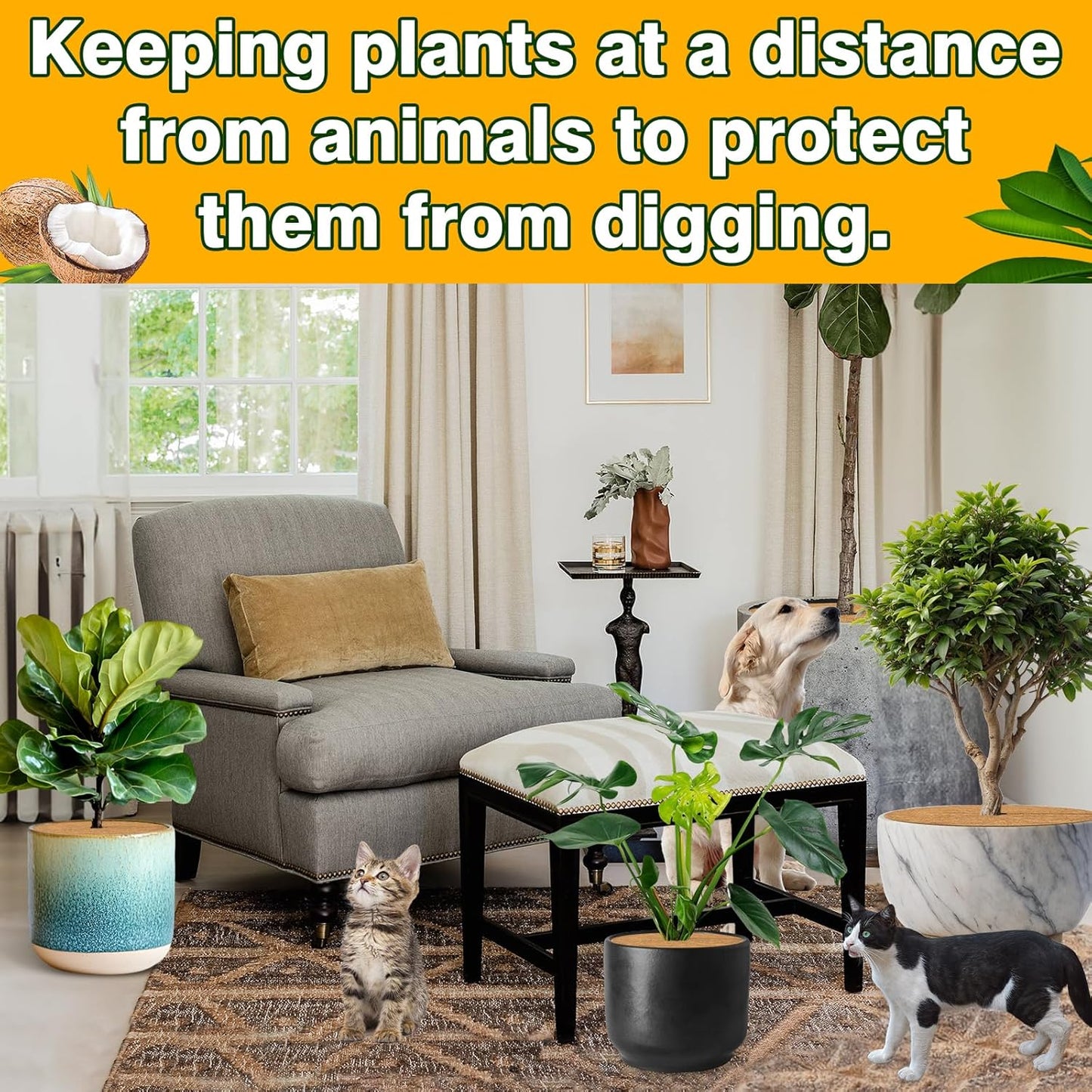 ZeeDix 10 Pack 6 Inch Coconut Fiber Mulch Ring, 100% Natural Coco Coir Tree Ring Mulch Mat Plant Protector Mat, Coconut Coir Discs Plant Pot Soil Cover for Indoor Outdoor Plants, Flower Pot Decoration