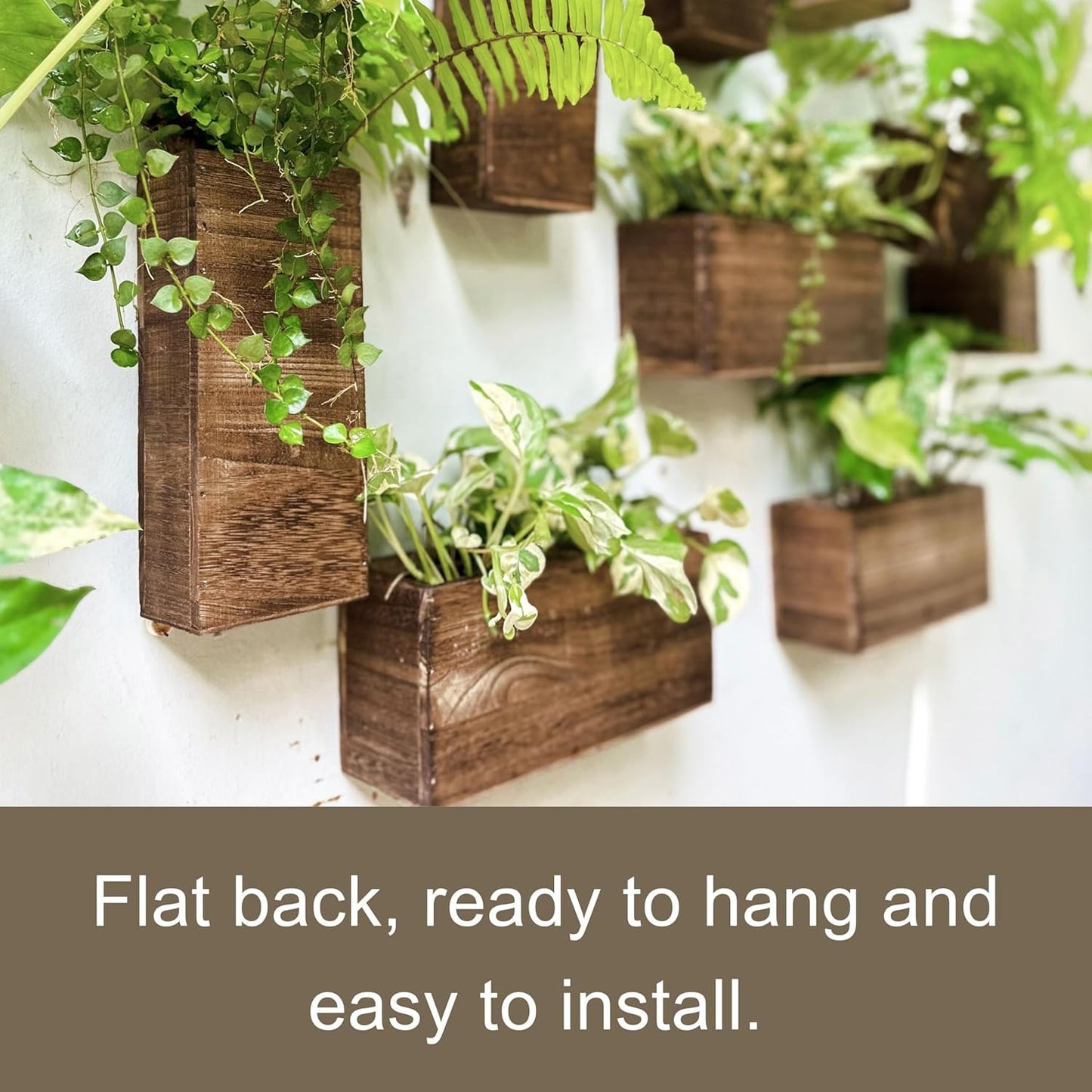 LaLaGreen Wood Planter Box for Plants (6 Pack) Wooden Hanging Wall Planters for Indoor Plant Holder Vase for Dried Flowers, Modern Farmhouse Wall Decor Living Room Bedroom Kitchen Office Home Garden