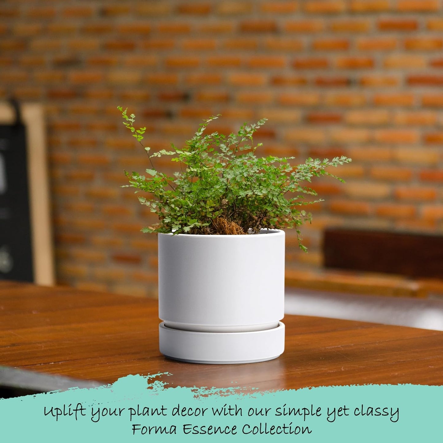 Phoenix Vine 4 Inch Planter Pot with Drainage Hole & Saucer, Deep Water Catch Tray, Straight Cylindrical Round Pot for Plants, Matte White, Pack of 4, 23-B-R-4