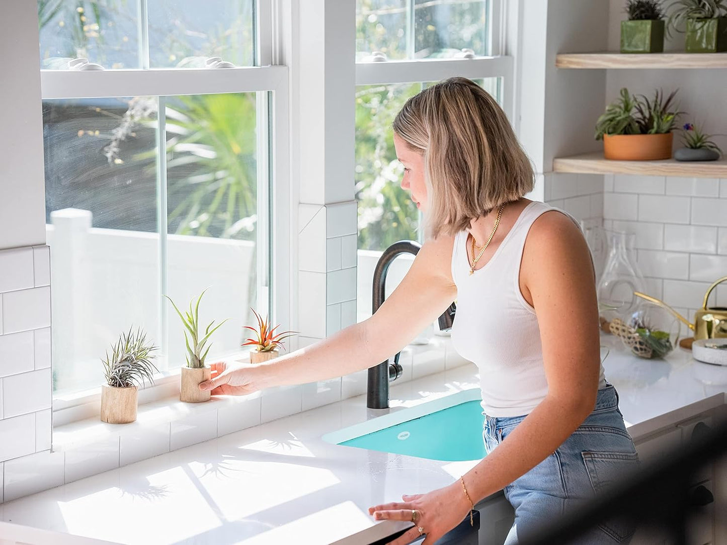 Thick Colombian Spanish Moss Live Strands with Wire Hook - Tillandsia Usneiodes - Live Tillandsia Succulent House Plants - Home and Garden Decor - Easy Care Indoor and Outdoor Plants