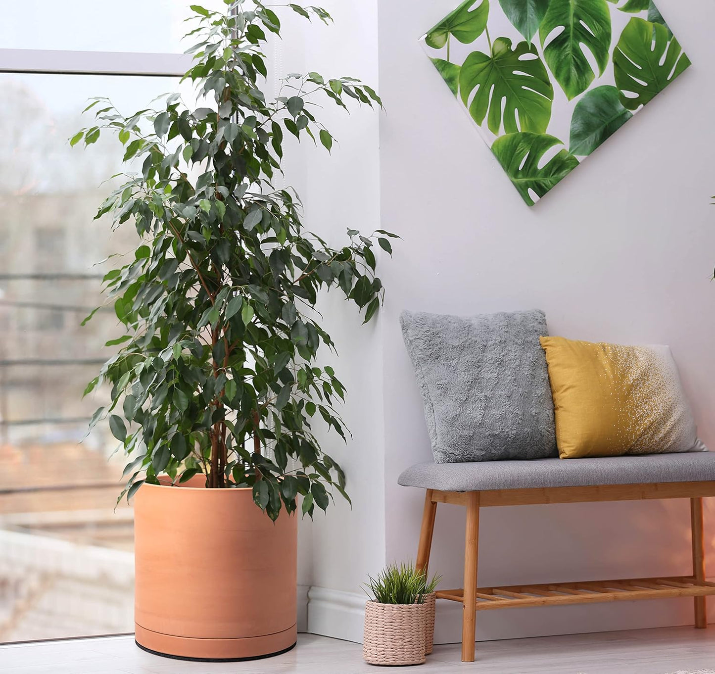 D'vine Dev X-Large 12 Inch Terracotta Plant Pot with Drainage Hole and Saucer, Round Cylinder Planter Pot for Indoor Plants, 40-X-A-6