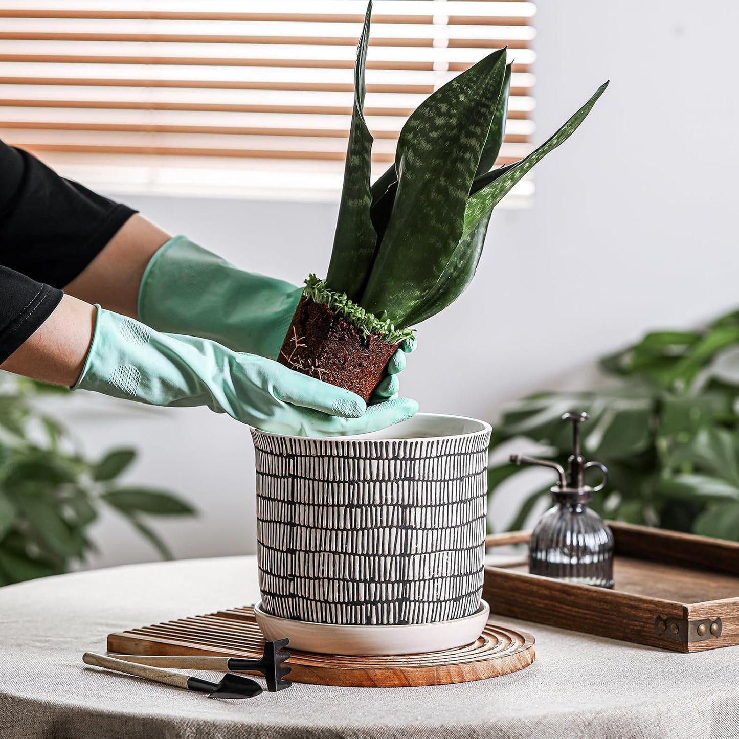 8 Inch Plant Pot: Ceramic Planter with Drainage Hole & Saucer - Cylinder Flowerpot for Indoor & Outdoor Plants - with Separate Tray for Home & Office - Striped Design