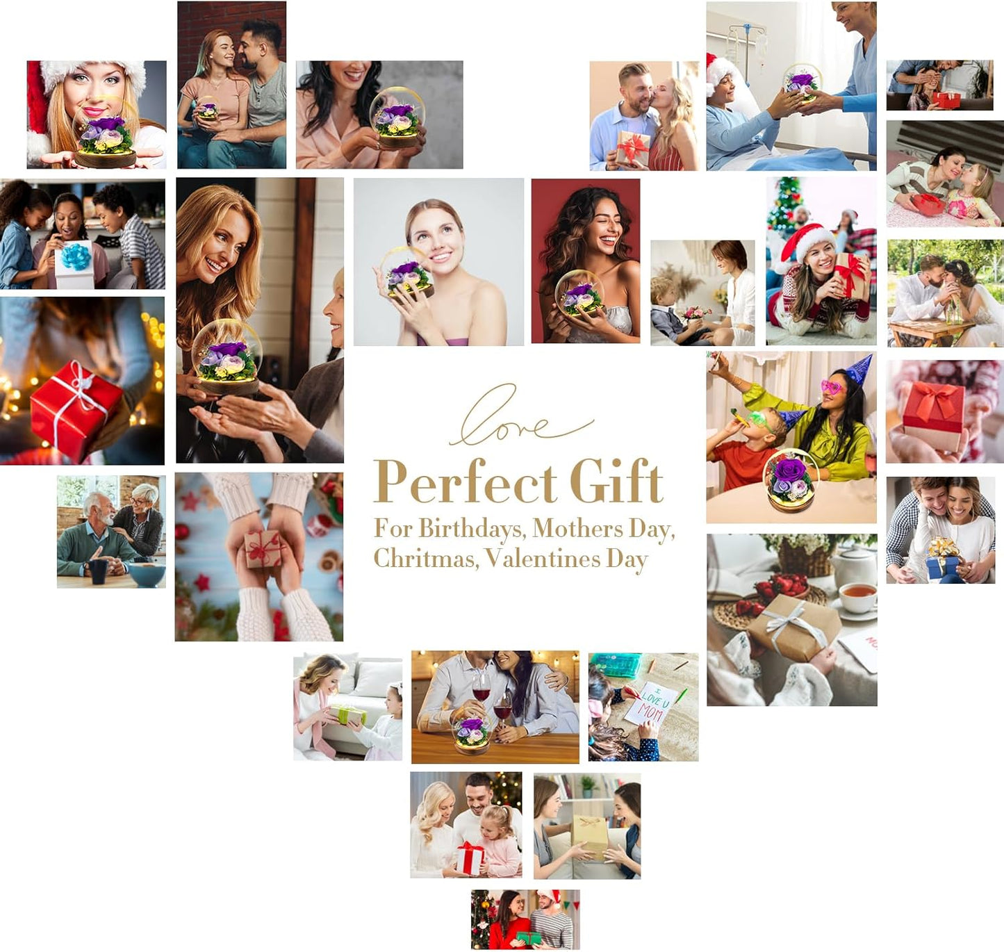 Flowers, Roses Gift โ Fresh & Preserved Roses That Last Forever โ Delivery to Show Love โ Ideal Birthday Gift for Women, Unique for Motherโs Day & Christmas โ Long-Lasting Forever Flowers