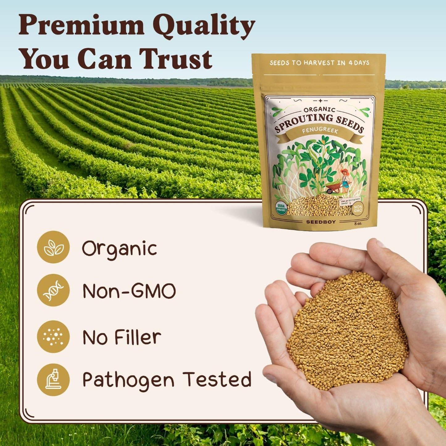 Seedboy Organic Fenugreek Seeds for Sprouting - Non-GMO, USDA Organic Microgreens Sprouting Seeds Mix - Makes 8 Quarts of Sprouts, 24 Servings (8 oz) (Fenugreek)