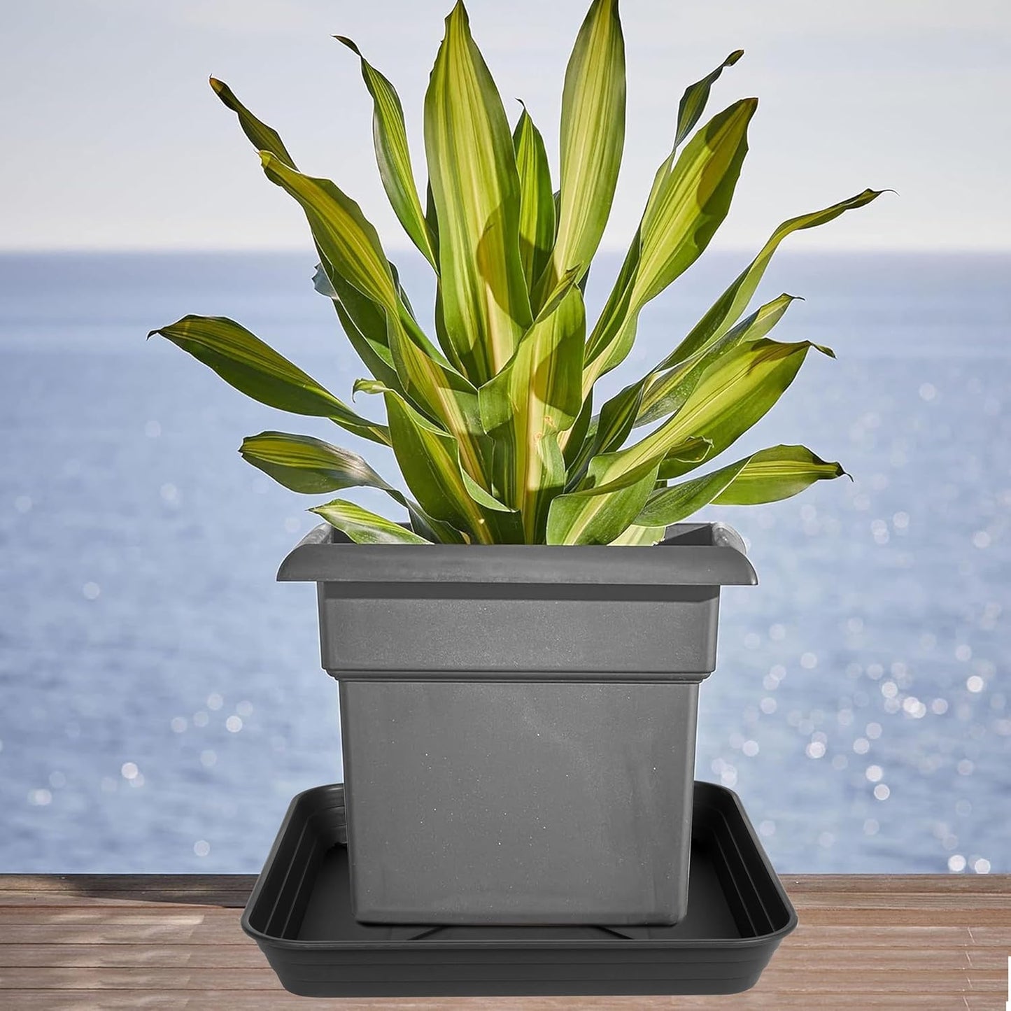 4 Pack Square Plant Saucer Tray 10 inch, 6 8 10 12 14 16 18 20 inch Heavy Duty Plastic Square Plant Saucers for Indoors Outdoor, Flower Planter Drip Trays for Pots, Seed Starting Tray