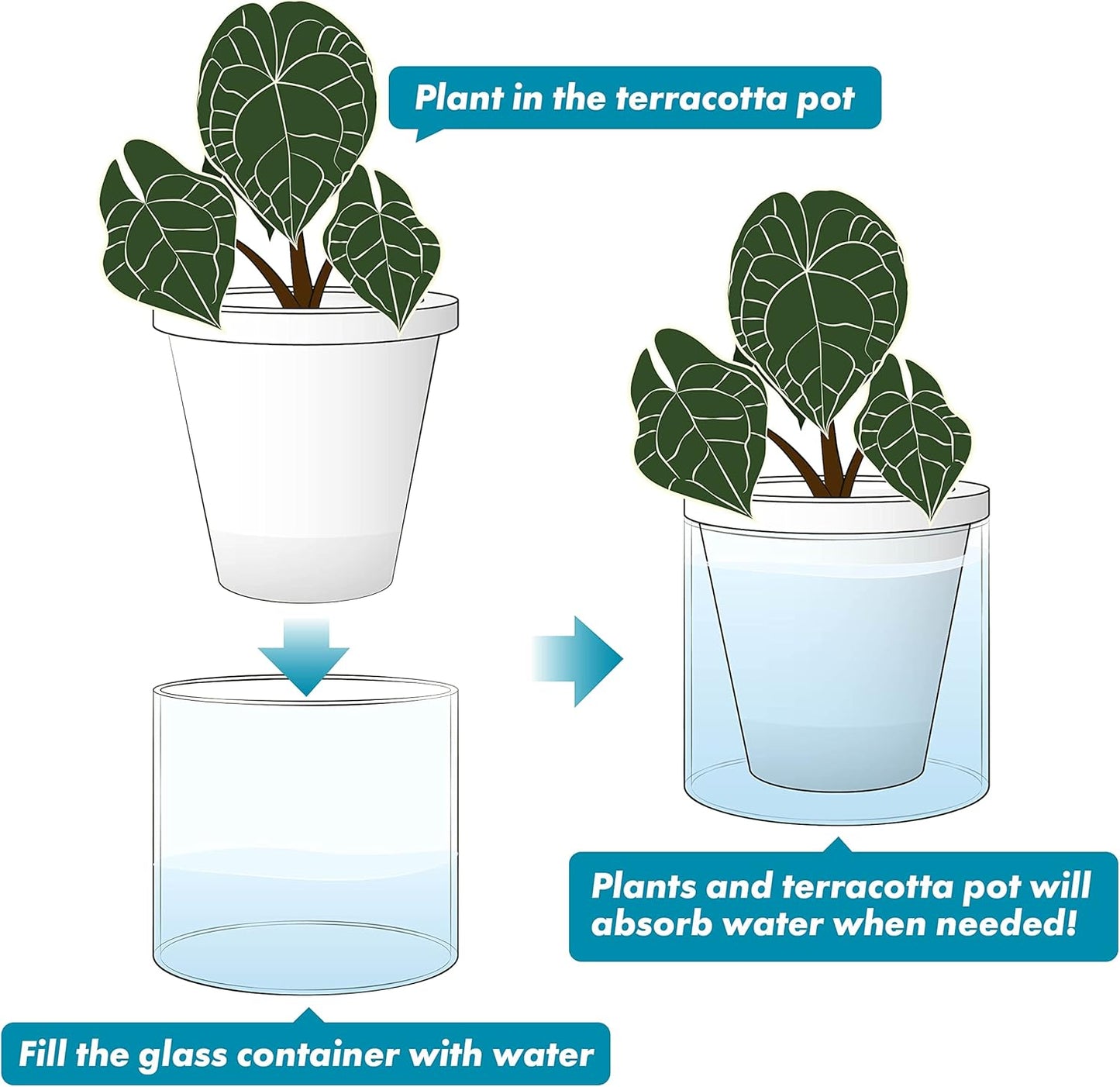 D'vine Dev 6 Inch Design Self Watering Planter for Indoor Plants, White Terracotta Pots with Cylinder Glass Cup, Set of 2, 37-Y-B-2