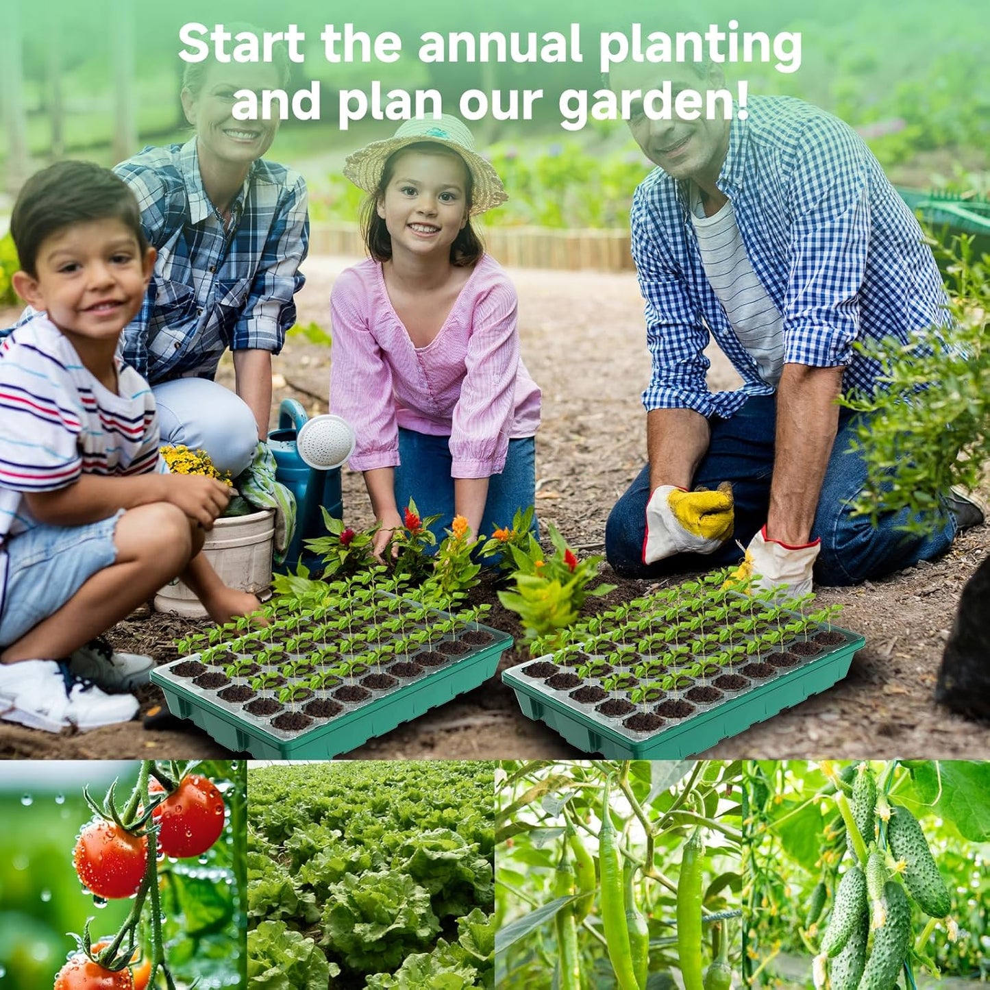 80 Cells Seed Starter Trays with Grow Lights, Color Change Grow Lights for Seed Starting Kit, 3 Timming Set, Plant Growing Kit for Gardeners,Germination Trays Kits