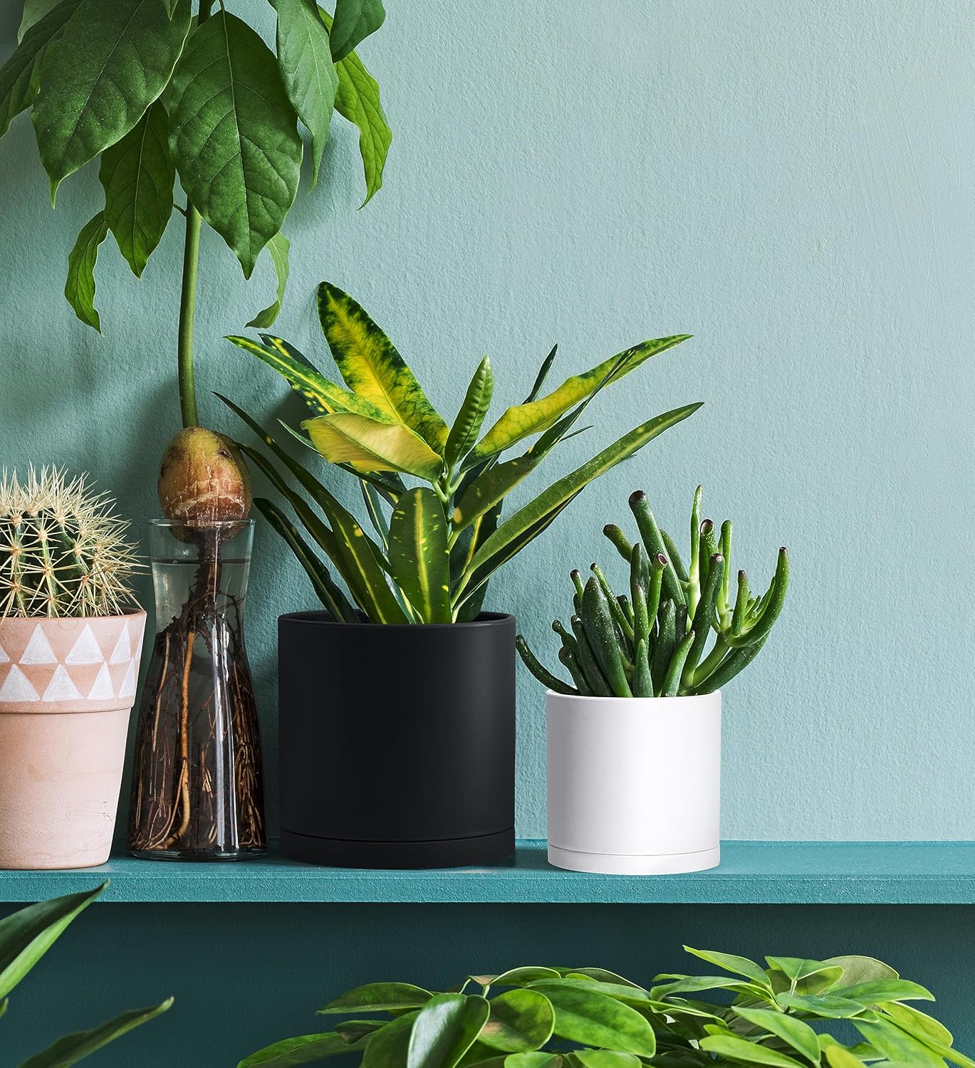 D'vine Dev 2 Pack 4.5 Inch Modern Plastic Plant Pots, Small Garden Planters for Plant with Drainage Holes and Saucers, White Color, 74-Z-F-1