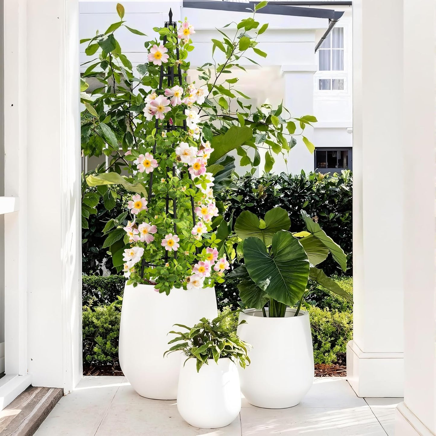 4 Ft obelisk trellis for Climbing Plants outdoor,4 Ft garden trellis with Extra Thickened Plastic-Coated metal pipes, Garden Indoor Potted Plant Support, Climbing Support for Potted Plants