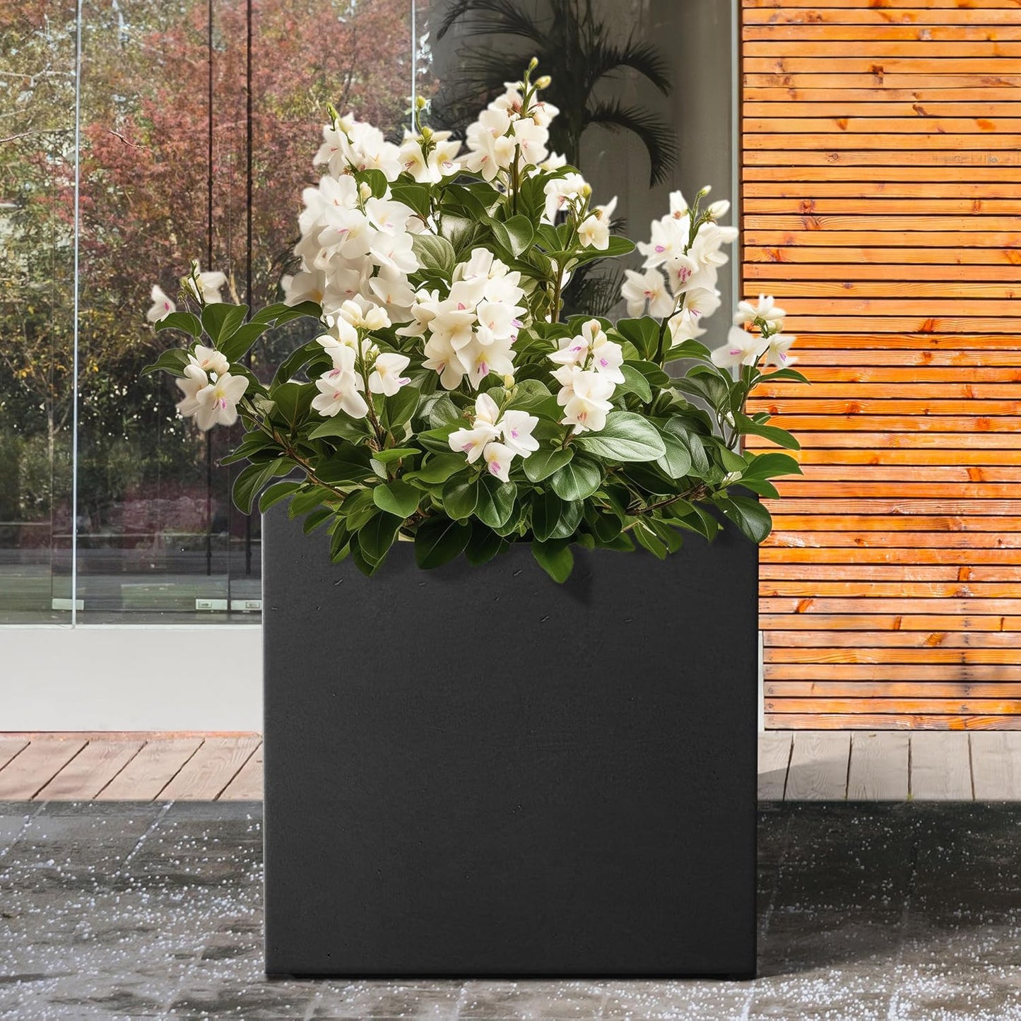 Kante 12 Inch Square Concrete Planter for Outdoor Indoor Home Patio Garden, Large Plant Pot with Drainage Hole and Rubber Plug, Black