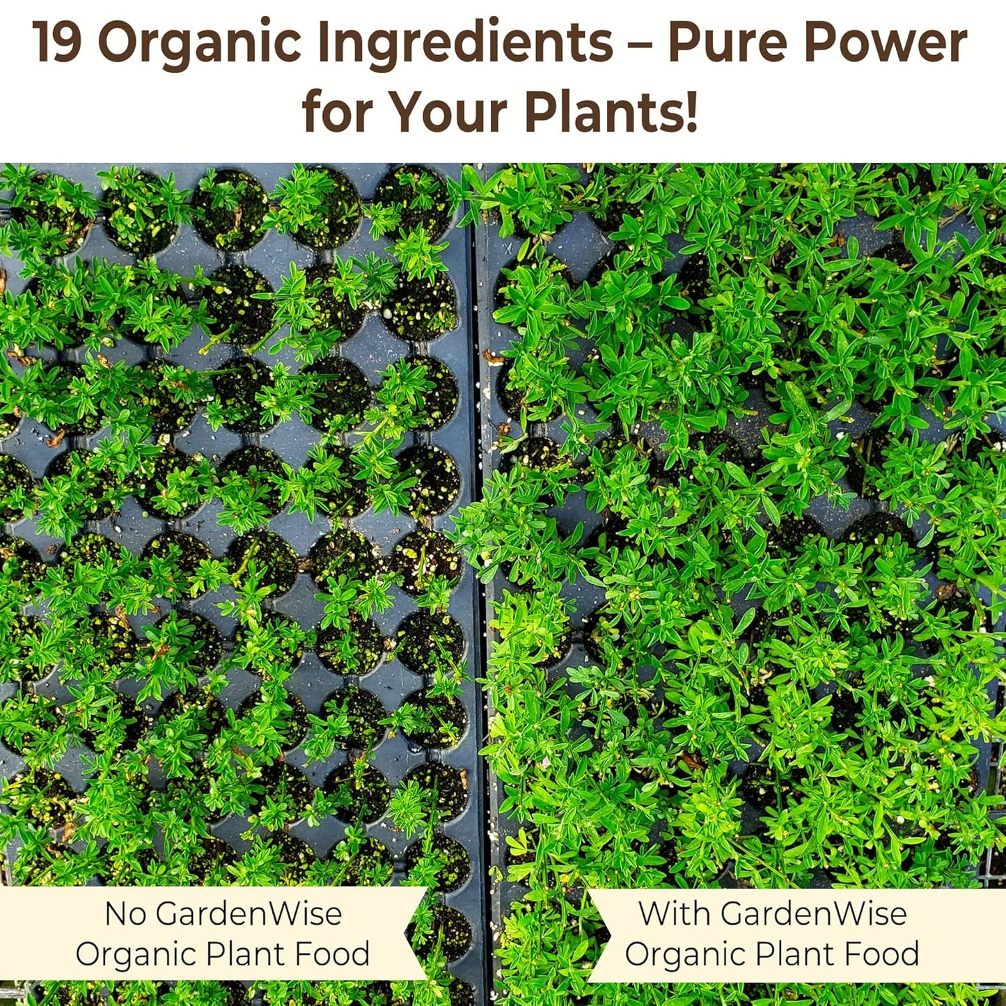 Organic Liquid Plant Food for Indoor Houseplants – All Purpose Fertilizer for Potted Plants, Vegetables, Succulents, Orchids, Roses – Miracle Growth with Mycorrhizae (32 oz)