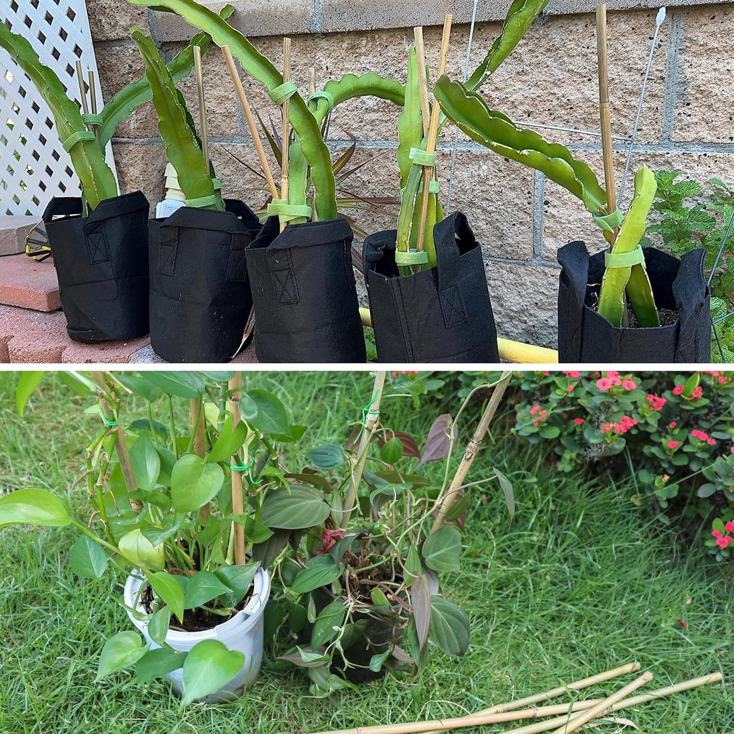 50Pcs / 4ft Bamboo Plant Stakes for Indoor Outdoor Plants, Garden Plant Support Sticks, Poles for Tomato Vegetables Beans Trees Potted Climbing Plants(0.32''-0.4'')