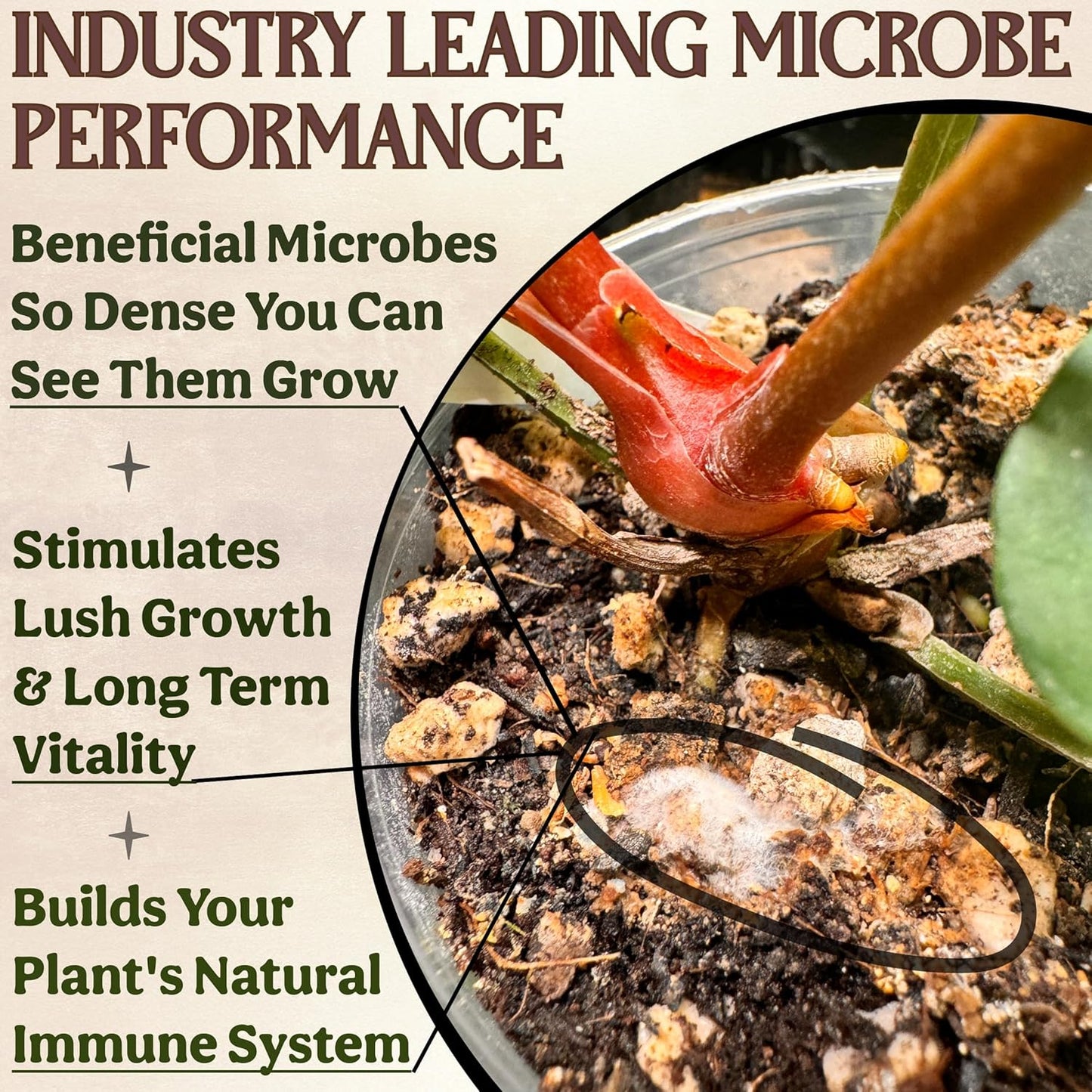 All-in-One Complete Organic Plant Food, Indoor Plant Food for Houseplants, Organic Fertilizer for Vegetable Gardens, 7 Formulated Single Servings Feeds 14 gal Fast and Slow Release