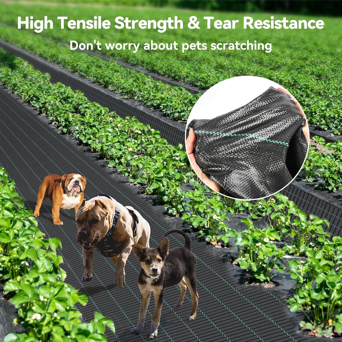 3ftx180ft Weed Barrier Landscape 3.2oz Fabric Heavy Duty, Woven Weed Control Cloth, Woven Geotextile Fabric for Underlayment, Gardening Ground, Commercial Driveway Weed Block Cover Mat