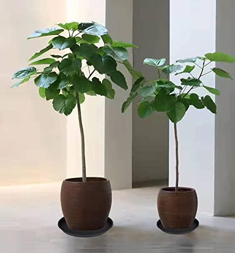 4 Pack of 16 inch Plant Saucer (13.5" Base), Heavy Duty Plastic Plant Tray for Pots, Flower Water Trays for Indoors, Bird Bath Bowls, Plant Drip Saucers for Planter 14"/15"/16" (Black)