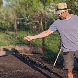 Crimson Clover Seeds (Coated) - 4 oz - Garden Cover Crop, Non-GMO, Open Pollinated, Perennial, Heirloom - Coated for Easy Planting
