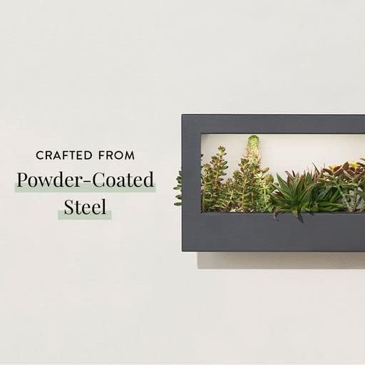 Modern Sprout Smart Landscape Growframe Wall Mounted Planter with LED Grow Light -White