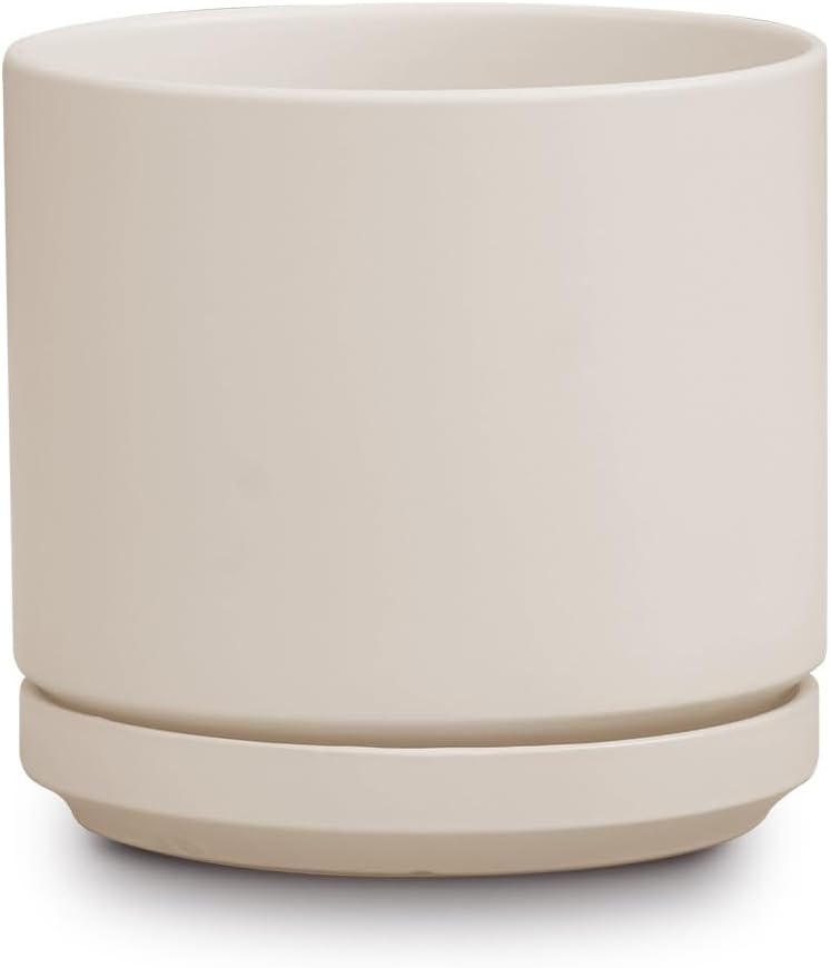 Mid Modern Planter with Detached Saucer (Ivory Clay,12.0" D x 10.5" H)