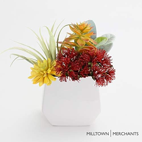 Milltown Merchants Succulent Wall Planters - Wall Vases - White Ceramic Wall Mounted Planters - Succulent Plant Pots - Hanging Vases for Living Wall (1 Pack/Contemporary/White)