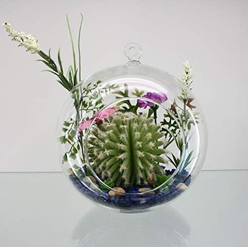 WGV Hanging Terrarium Globe, Width 5", Height 6", DIY Air Succulent Planter, Clear Glass Vase Orb with Flat Bottom, Candle Holder for Windowsill Outdoor Garden Decor, 1 Piece