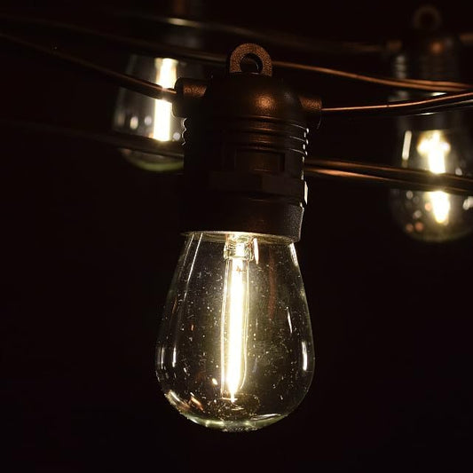 Hometown Evolution, Inc. 100' E26 Commercial LED Outdoor String Lights (100 Foot 50 Socket, S14 LED Filament 1 Watt Light Bulbs)