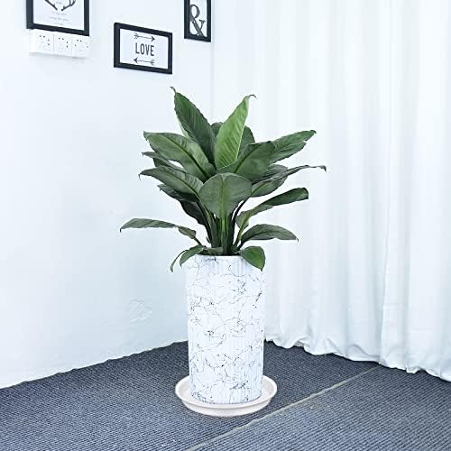 2 Pack of Bird Bath Bowl 12", 1.6" Depth, 10 12 inch Birdbath Bowls Dish Only for The Garden, Large Plant Saucer (12", Creamy White)