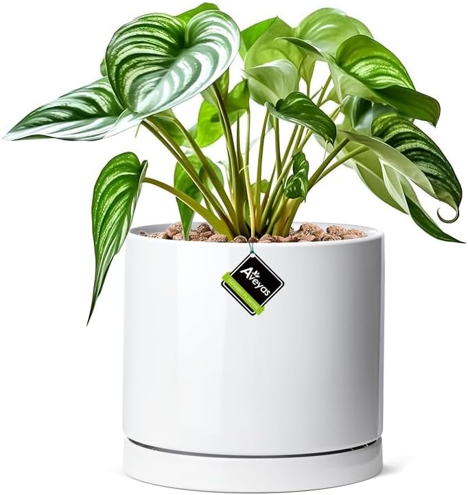 Aveyas 8 inch Ceramic Plant Pot with Drainage Hole and Saucer - Suitable for Indoor and Outdoor Use, Modern Planters for House Garden Flower Tree Snake Monstera Plants (8", Glossy White)