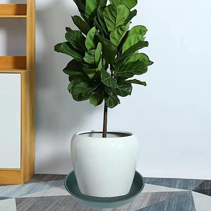 3 Pack of 20 22 inch Plant Saucer (19.2 Inch Base), 3.6" Depth Tray, Large Deep Garden Plastic Flower Planter Plant Trays for Indoors Outdoor Bath Bath (22", Green)