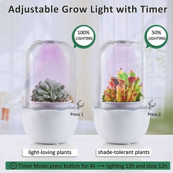 Smart Venus Fly Trap Terrarium Pot with Timer&Fan,Succulent Planter with Grow Light,Indoor Plant Terrarium Kit for Carnivorous Plants,Sundew Moss,Cactus, for Dad (No Plant)