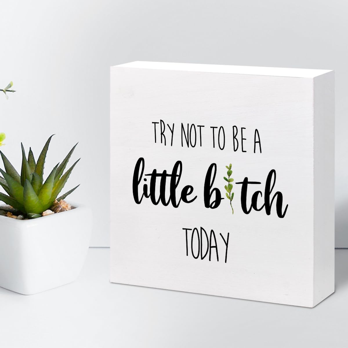 Funny Home Wood Decor Sign,Try not to Be a Little B Today Sign,Humor Wooden Box Plaque Sign Desk Decor for Home Office Shelf Table Decor Decorations