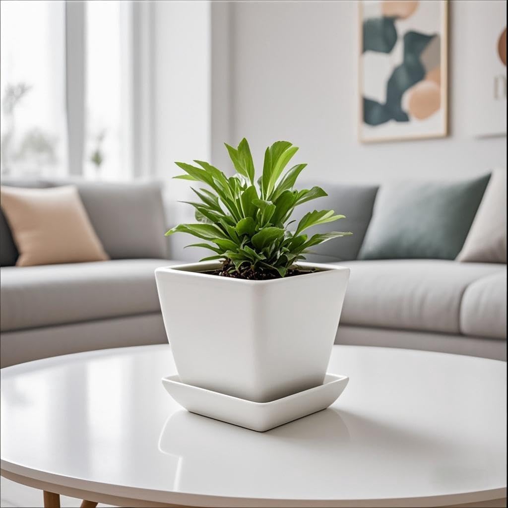 Square Plant Saucer 4 Inch 2 Pack，Plant Trays for Pots, White Ceramic Plant Saucers for Indoors Outdoors, Plant Drip tray 4 6 8 10 12 14 Inch