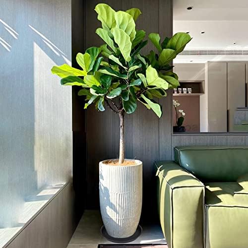 2 Pack of 14 inch Plant Saucer, Heavy Duty Round Plant Trays for Pots, Plastic Plant Water Tray, Flower Plant Saucers for Indoors, Pot Drip Trays for Planter 12-14" (14", Black)