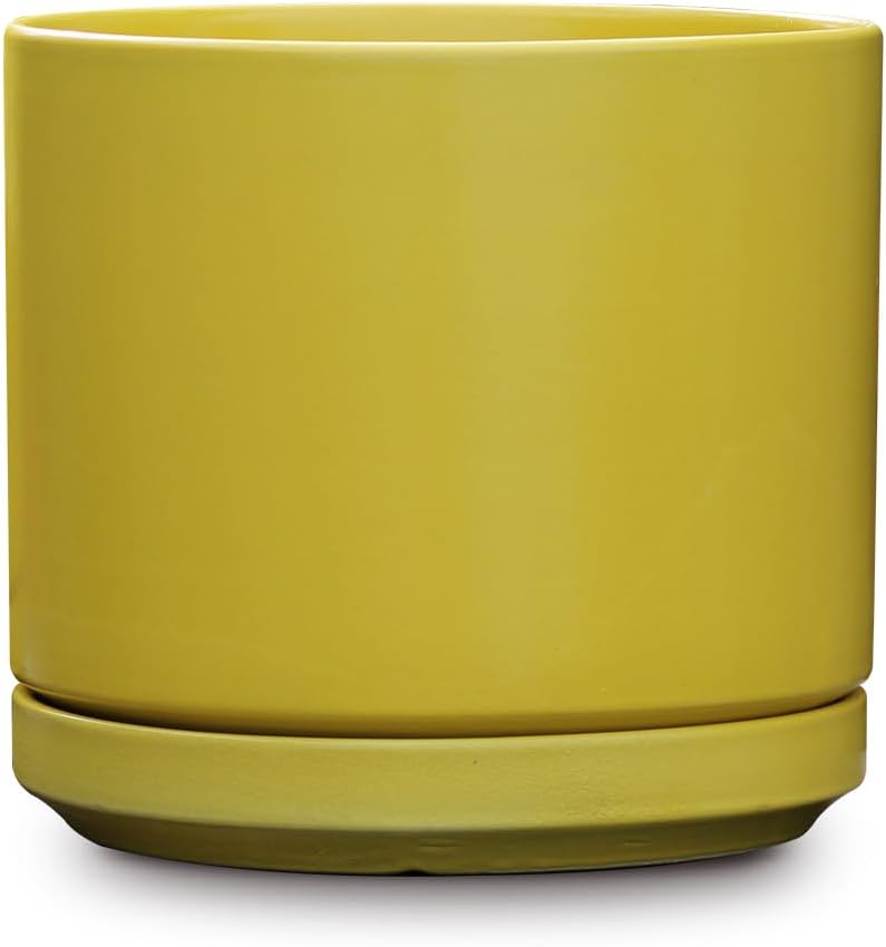 Mid Modern Planter with Detached Saucer (Bumblebee,14.0" D x 12.0" H)