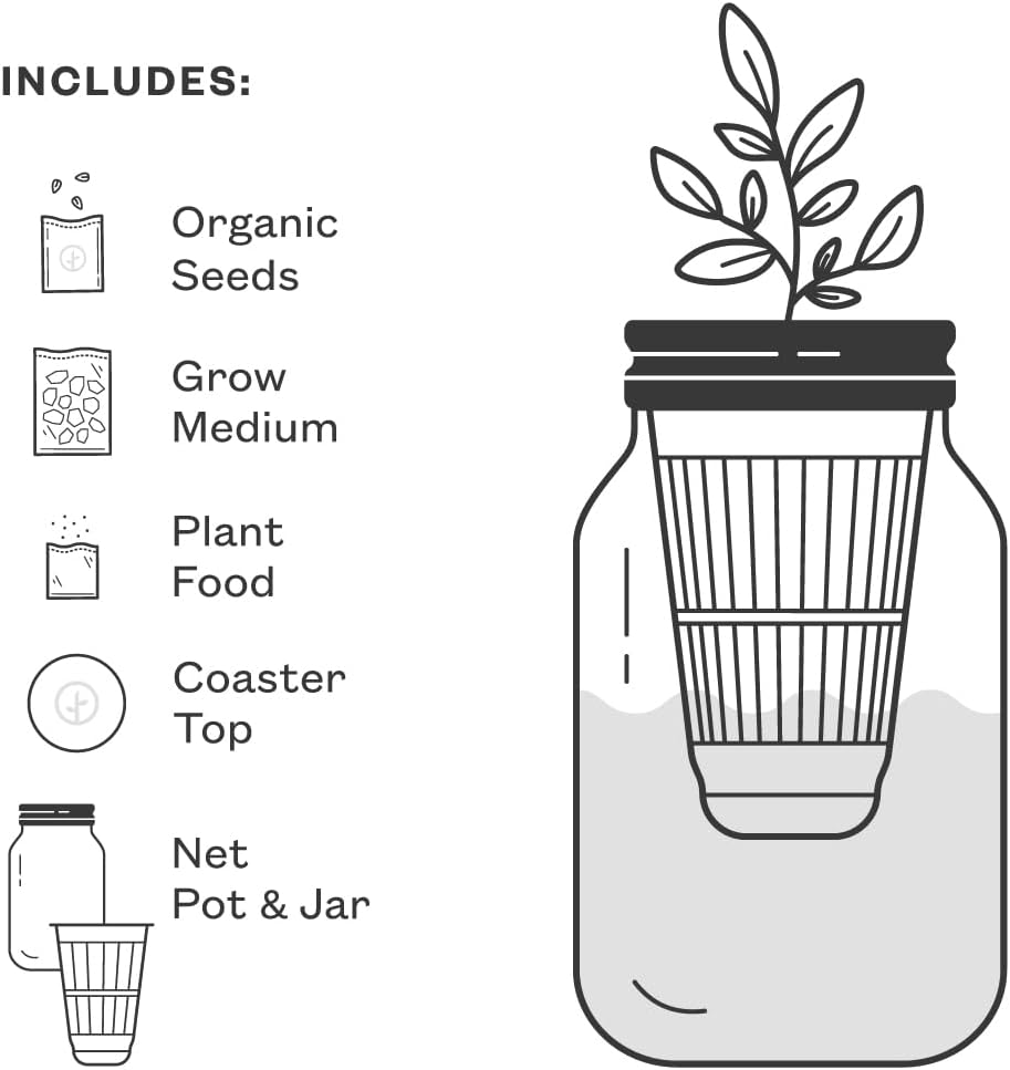 Modern Sprout Mason Garden Jar - Self-Watering Hydroponics Growing System Kit with Organic Herb Seeds - Jar Planter for Indoor Herb Garden - Seed Starter Kit - Home Decor & Gifting - Basil+Rosemary
