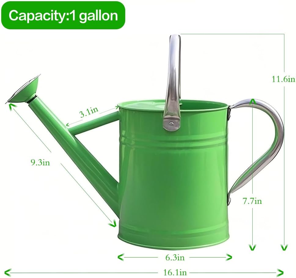 Metal Watering Can, One Gallon Watering Cans Stainless Steel for Outdoor Indoor Garden Plants Watering (Stainless Steel Handle Green)