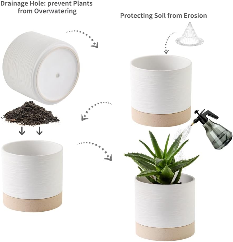 Nihow Ceramic Plant Pot: 6 Inch Planter with Drainage Hole & Saucer for Indoor & Outdoor Plants - Cylinder Round Flower Pot for Succulent/Herbs/Violets - White & Brown
