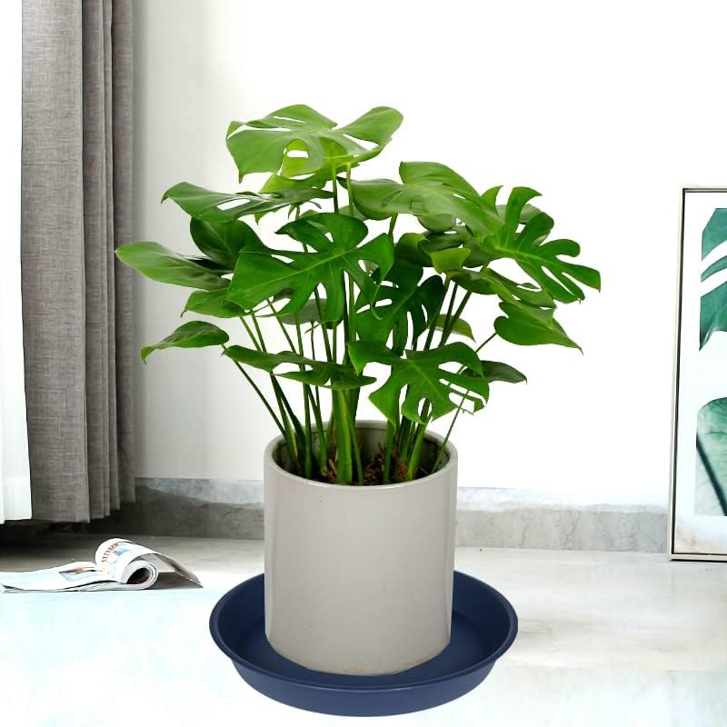 2 Pack of 16 17 inch Plant Saucer (15 inch Base), 2.3" Depth, Plant Trays for Pots, Plastic Plant Saucers for Indoors, Flower Pot Drip Trays for Planter (17", Blue)