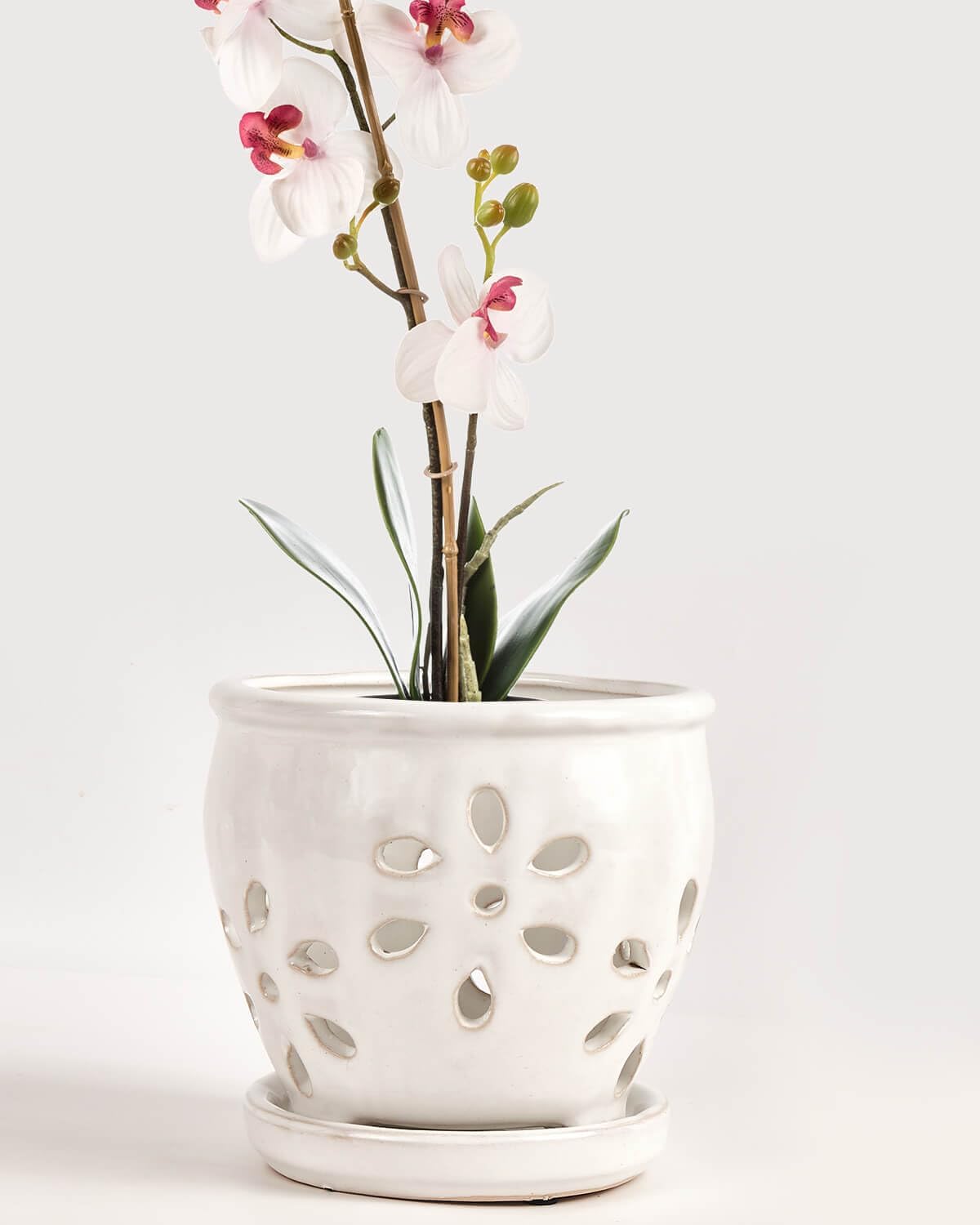 vensovo 5 Inch Ceramic Orchid Pots with Holes and Saucers - 1 Pcs Small Succulent Pot for Repotting, Garden Flowerpots for Plants Indoor and Outdoor Promotes Air Circulation, White