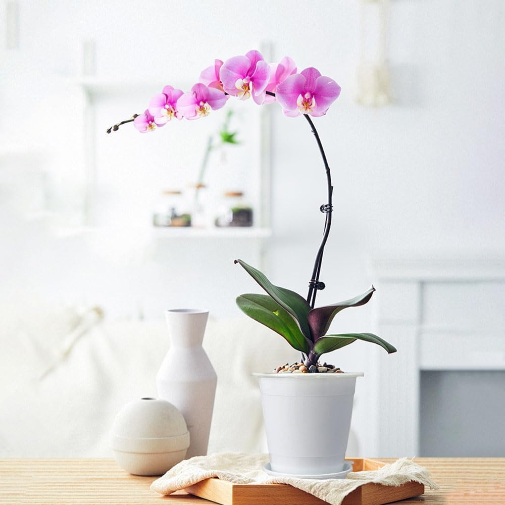 4 inch Clear Orchid Pots with Holes Match White Plastic Orchid Planter,Set of 2,Double Layer Plant Nursery Pots Own Scientific Controlling Roots Technology